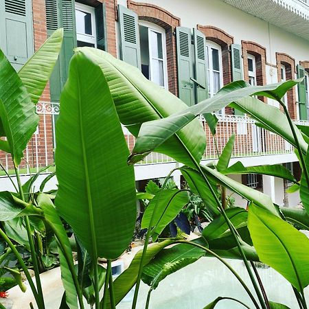 Appt Ambiance Boheme 2 Ch Piscine Lagon Apartment Tarbes Exterior photo