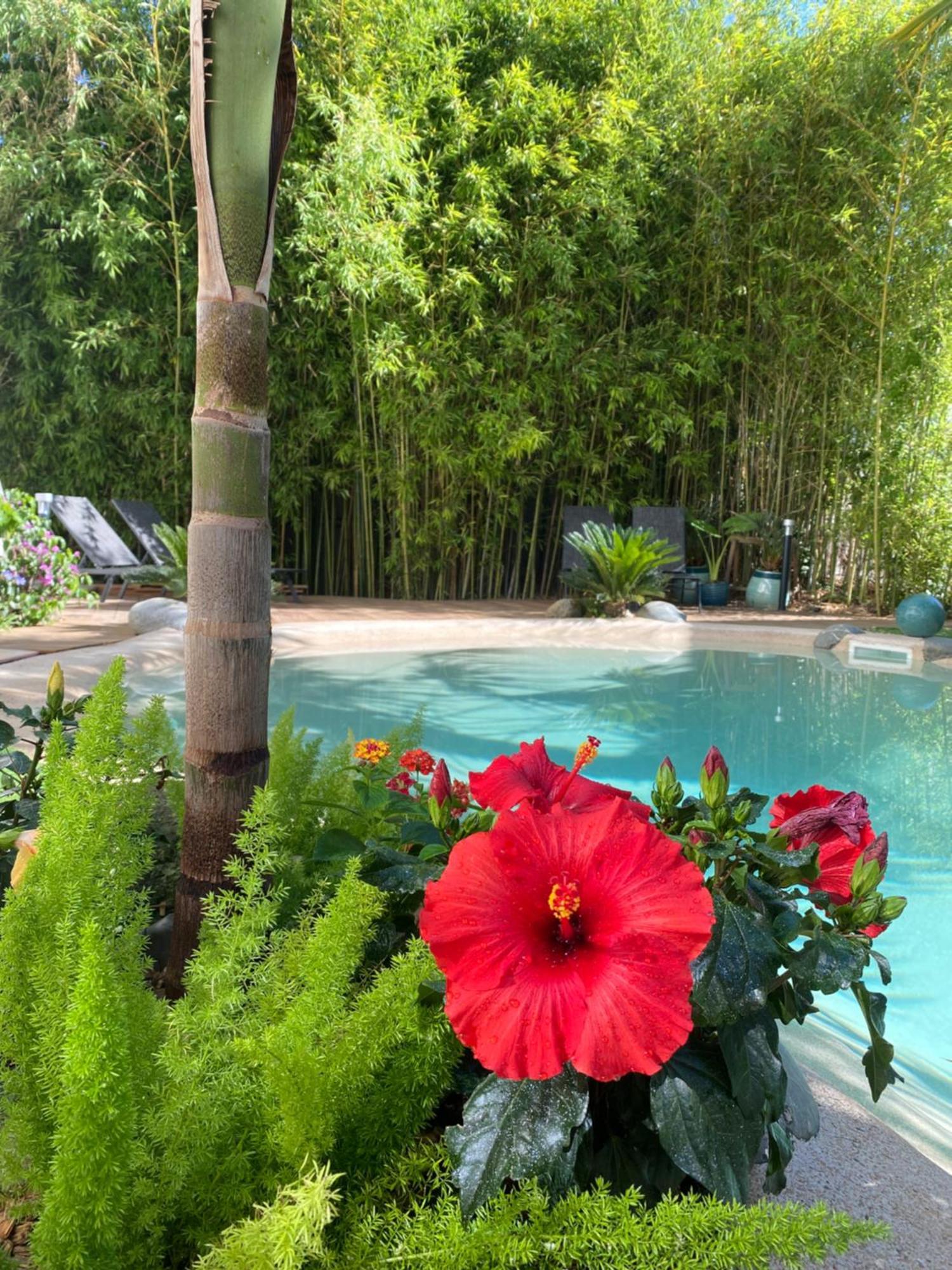 Appt Ambiance Boheme 2 Ch Piscine Lagon Apartment Tarbes Exterior photo